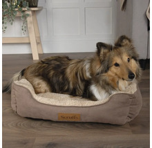 Hund liegt in einem Hundebett von Scruffs