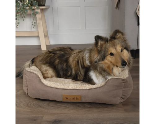 Hund liegt in einem Hundebett von Scruffs