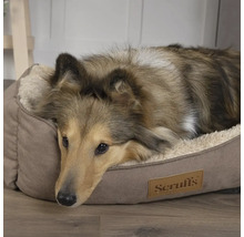 Hund liegt in einem Hundebett mit Scruffs Logo