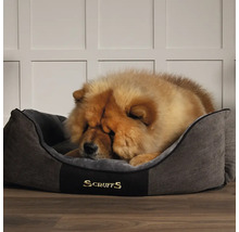 Hund schläft in einem grauen Scruffs Hundebett.