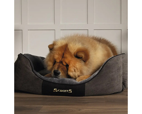 Hund schläft in einem grauen Scruffs Hundebett.