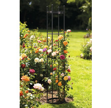 Rosenobelisk aus Metall im Garten mit Rosenpflanzen