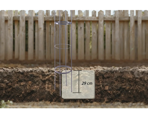 Illustration eines Tomatenstabs im Garten mit einer Einbautiefe von 29 Zentimetern
