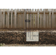 Pflanzenstütze im Garten mit Tiefenangabe von 24,5 Zentimetern