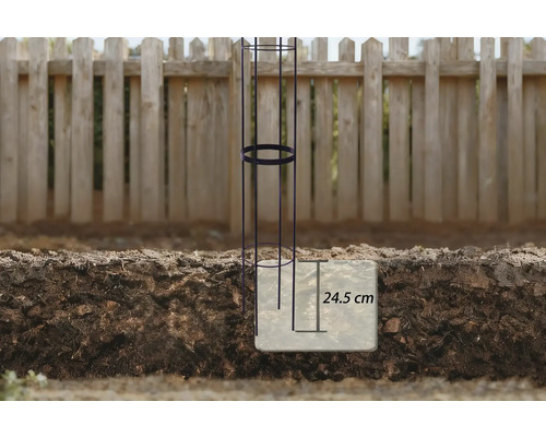 Pflanzenstütze im Garten mit Tiefenangabe von 24,5 Zentimetern