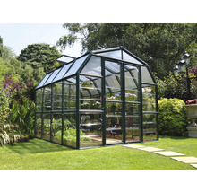 Gewächshaus im Garten mit Pflanzen und offenem Dachfenster