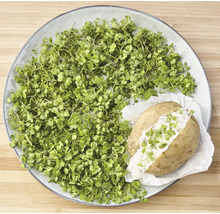 Teller mit Kresse und Ofenkartoffel mit Quark