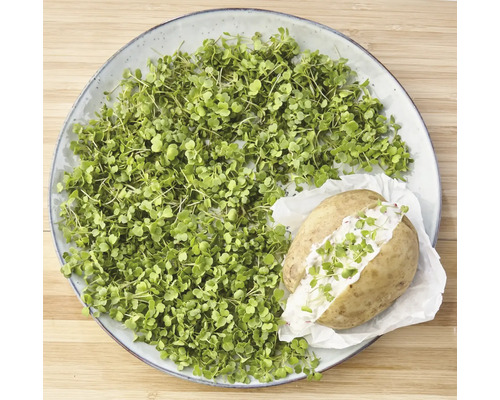 Teller mit Kresse und Ofenkartoffel mit Quark