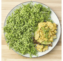 Teller mit Kresse, Avocado und Tofu auf Brot