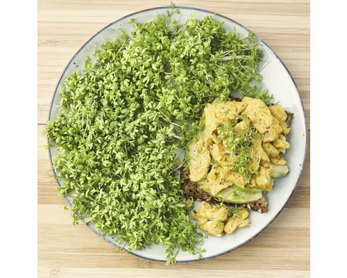 Teller mit Kresse, Avocado und Tofu auf Brot