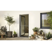 Terrasse mit Insektenschutztür, Fenster und verschiedenen Pflanzen