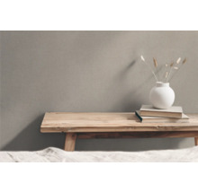 Dekoratives Interieur mit Holzbank, Büchern und Vase mit Pflanzen
