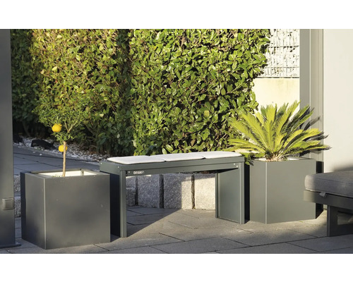 Gartenbank mit Kissen zwischen Pflanzenkübeln mit Zierpflanzen