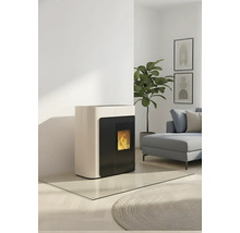 Wohnraum mit Pelletofen, Pflanze, Sofa und Bildern