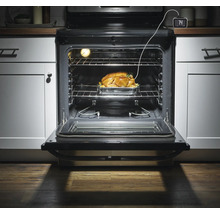 Gebratener Truthahn im Ofen mit offenstehender Tür und digitalem Bratenthermometer