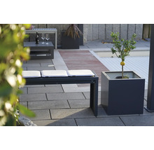 Außenbereich mit Sitzbank, Kissen und Zitronenbaum im Topf