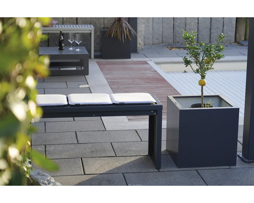 Außenbereich mit Sitzbank, Kissen und Zitronenbaum im Topf