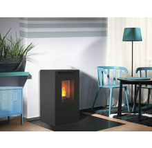 Wohnzimmer mit Pelletofen, Tisch und Stühlen.