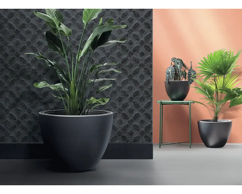 Innenraumszene mit Pflanzen in großen Pflanzgefäßen und dekorativer Wandverkleidung