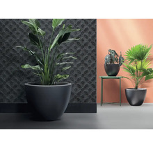 Innenraum mit großem Zimmerbaum in einem Pflanzgefäß, einem Tisch mit Topfpflanze und einer Palme in einem Pflanzgefäß.