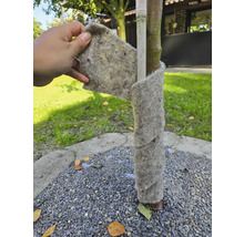 Baumstammschutz aus Filz um einen Baum gewickelt
