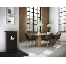 Wohnraum mit Kaminofen, Esstisch und Stühlen in modernem Design.