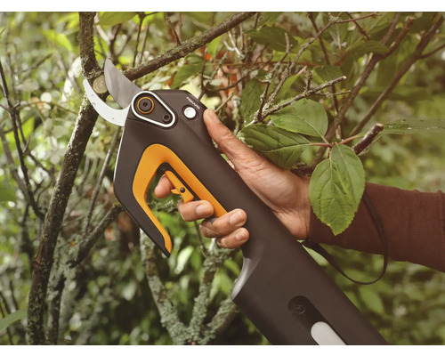 Akku-Astschere schneidet einen Ast