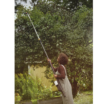 Frau benutzt eine Hochentaster-Gartenschere zum Beschneiden eines Baumes.