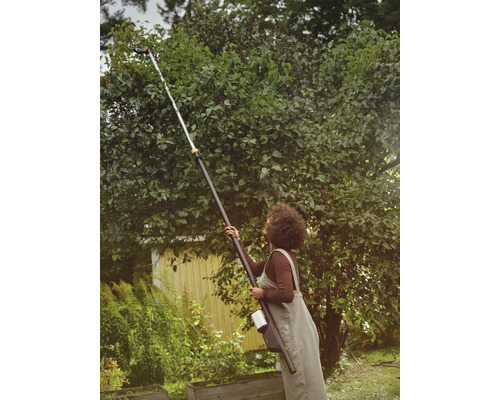Frau benutzt eine Hochentaster-Gartenschere zum Beschneiden eines Baumes.