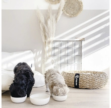 Zwei Hunde fressen aus weißen Futternäpfen in einem hellen Wohnraum mit dekorativen Elementen.