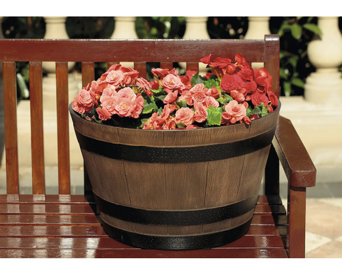Blumenkübel in Holzfassoptik mit Begonien auf einer Holzbank