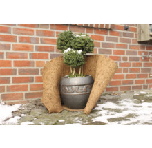 Dekorative Pflanze im Topf mit Winterschutz vor einer Backsteinmauer