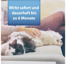 Katze und Hund liegen entspannt auf einer Couch. Wirkt sofort und dauerhaft bis zu 6 Monate.