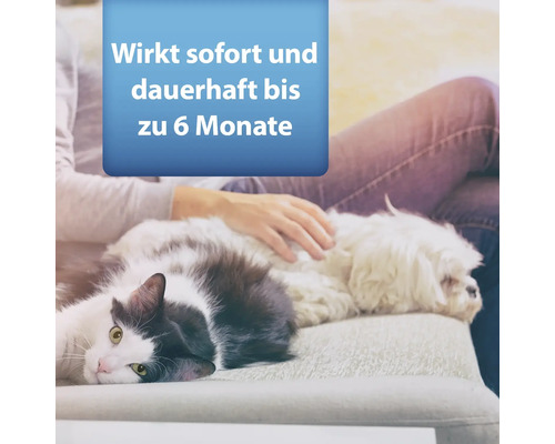 Katze und Hund liegen entspannt auf einer Couch. Wirkt sofort und dauerhaft bis zu 6 Monate.