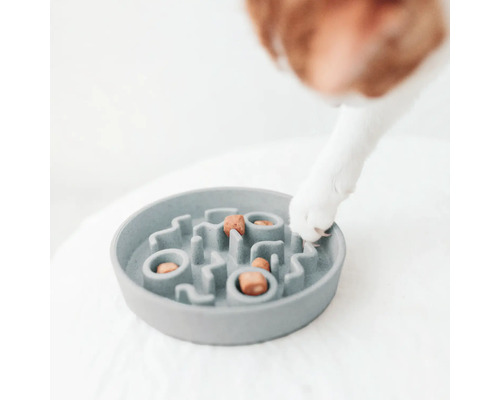 Grauer Fressnapf mit Labyrinthstruktur und Hundefutter, eine Hundepfote ist zu sehen.