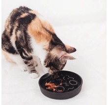 Katze frisst aus einem interaktiven Futter-Napf, der die Fressgeschwindigkeit verlangsamt