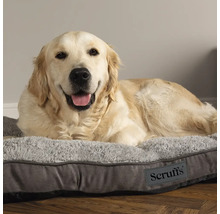 Golden Retriever liegt auf einem grauen Hundebett mit Scruffs Logo