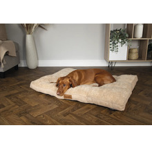 Ein brauner Hund liegt auf einem beigen Hundebett im Wohnzimmer.