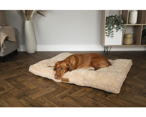 Ein brauner Hund liegt auf einem beigen Hundebett im Wohnzimmer.