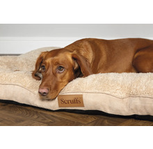 Hund liegt auf einem Hundebett mit Scruffs Logo