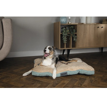 Entspannter Hund auf einem beigen Hundebett der Marke Scruffs in einem Wohnraum.