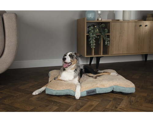 Entspannter Hund auf einem beigen Hundebett der Marke Scruffs in einem Wohnraum.