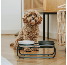 Hund sitzt neben einem erhöhten Futternapf mit zwei Schalen auf einem Holzboden