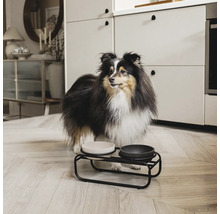 Hund vor einem Futternapf mit zwei Schalen auf einem schwarzen Metallständer in einer Küche.