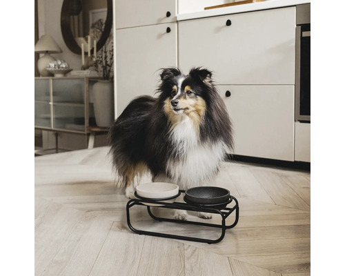 Hund vor einem Futternapf mit zwei Schalen auf einem schwarzen Metallständer in einer Küche.