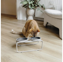 Eine Katze frisst aus einem Doppelnapf mit Gestell auf einem Holzboden