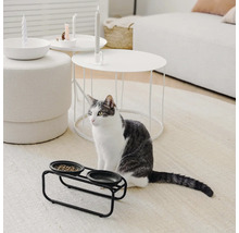 Katze sitzt neben einem schwarzen Doppel-Fressnapf auf einem Teppich