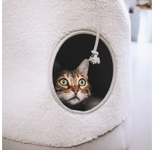 Katze schaut aus Katzenhaus mit Spielzeug