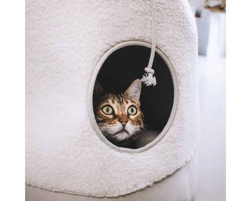 Katze schaut aus Katzenhaus mit Spielzeug