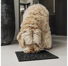 Hund schnüffelt an einer schwarzen Fußmatte